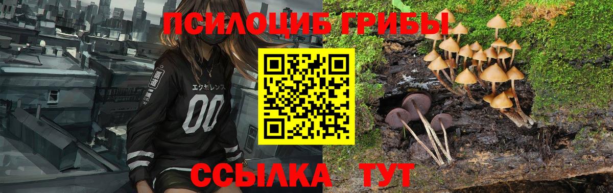 Галлюциногенные грибы Psilocybine cubensis Пушкино