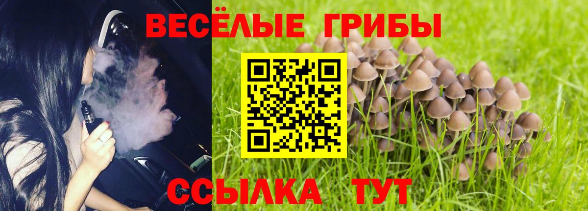 Галлюциногенные грибы мицелий  Вход с VPN  Пушкино 